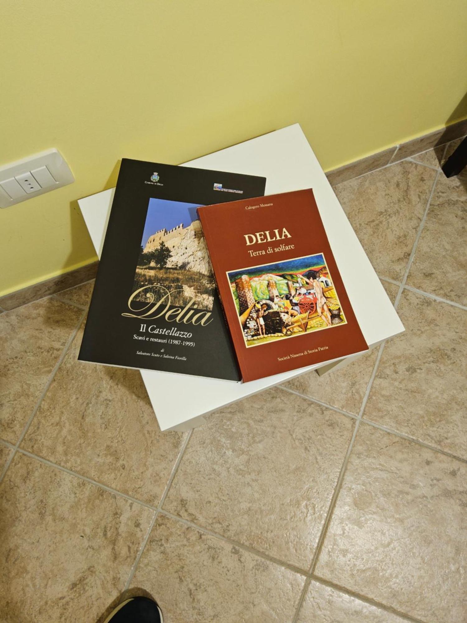 Al Cortile Del Pozzo Apartment Delia Екстериор снимка